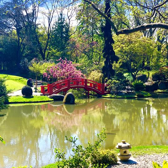 Le jardin Japonais à Toulouse